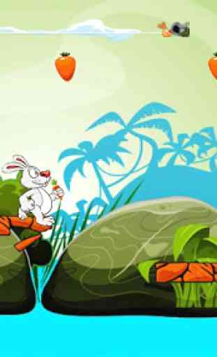 Bunny Run 2 4