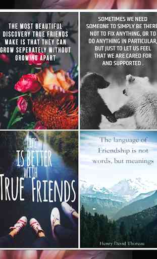 Citazioni sull'amicizia 2
