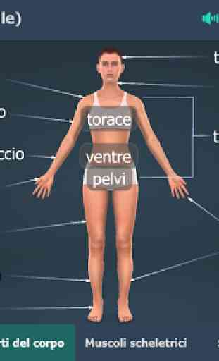 Corpo umano (femminile), 3D educativo 1