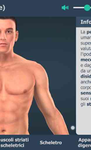 Corpo umano (maschile), 3D educativo 2