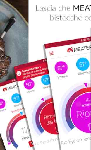 MEATER® Termometro Intelligente per Carne 3