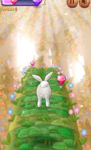 My Bunny Run 3D 1