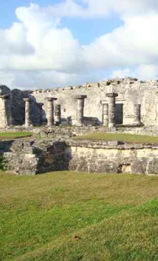 Sfondi maya 1