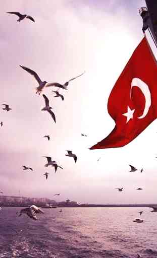 Turchia Bandiera Sfondi 4