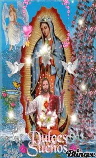 Virgen De Guadalupe Dulce Sueños Fondo Animado 1
