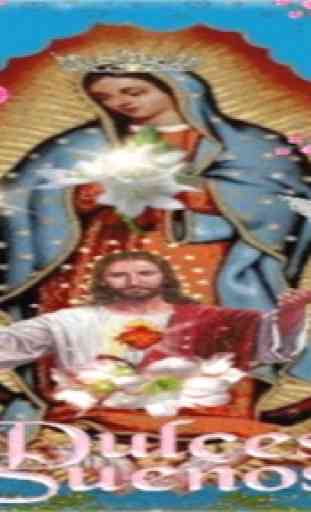 Virgen De Guadalupe Dulce Sueños Fondo Animado 3
