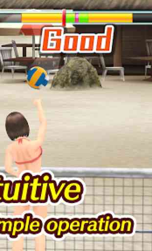 Beach Volleyball Paradise 3