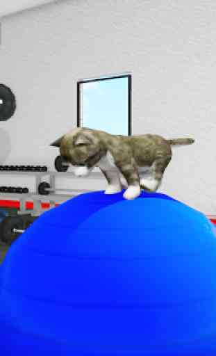 Cute Cat Simulator 2018 4