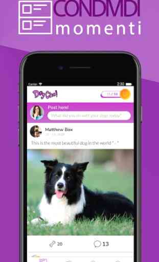DogCha! Comunità Social per proprietari di cani 1