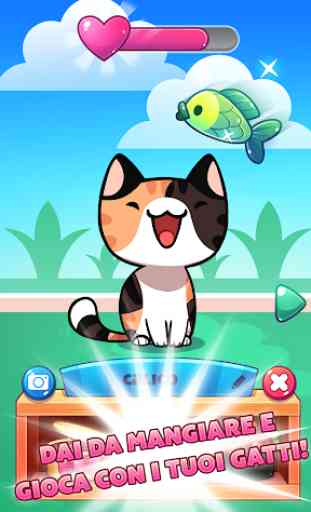 Gioco di Gatti (Cat Game) - The Cats Collector! 2