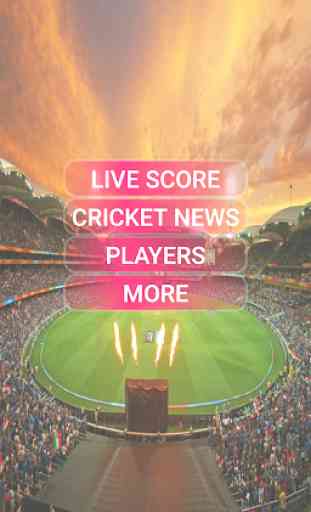 Live Cricket Match Scores 1