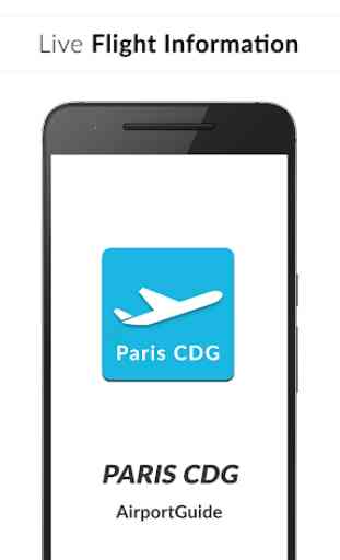 Paris CDG Airport Guide - Flight information 1