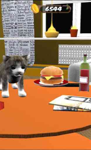 Simulatore di gatti - Pet World 4