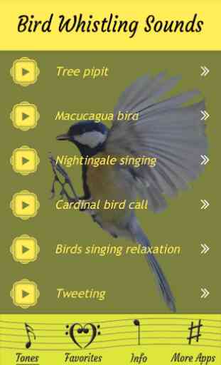 Uccelli fischio suoni 2