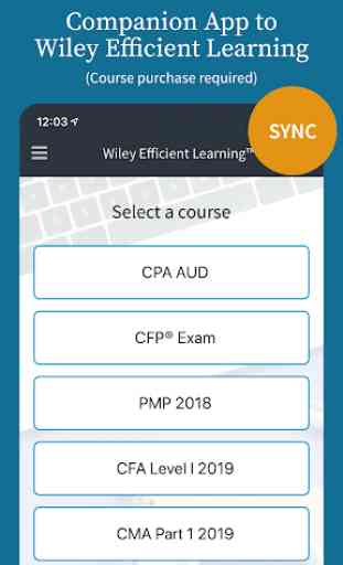 Wiley Efficient Learning 1