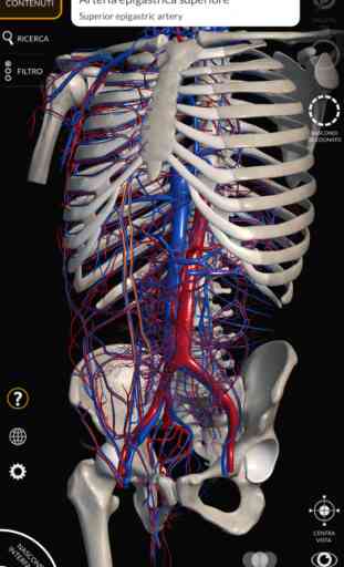 Anatomia - Atlante 3D 3