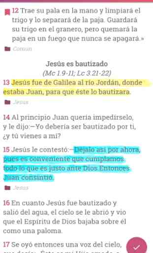Biblia Dios Habla Hoy (Biblia DHH Español) 2
