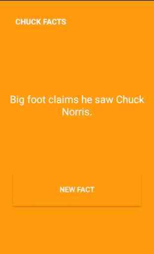 Chuck Facts 3