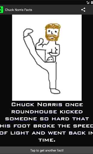 Chuck Norris Facts 1