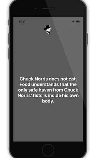 Chuck Norris facts & jokes 1