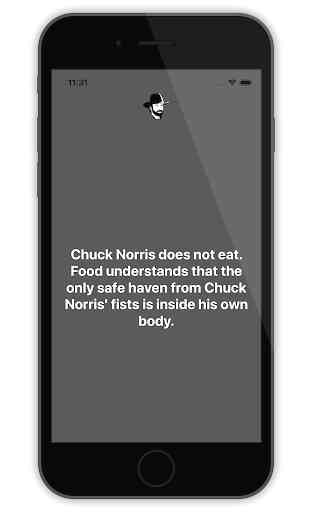 Chuck Norris facts & jokes 4