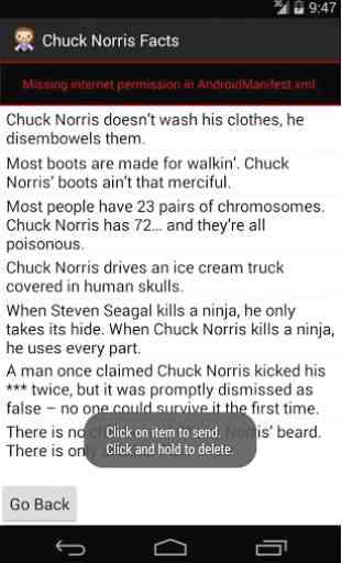 Chuck Norris Jokes & Facts 3