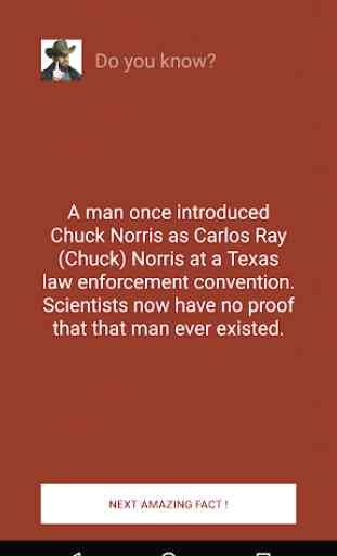 Chuck Norris: The Legend 1