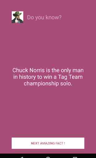 Chuck Norris: The Legend 4