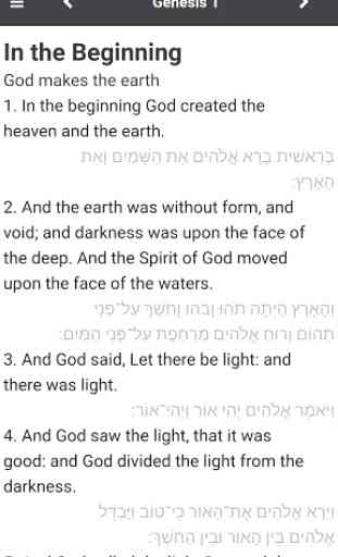 Hebrew Bible Now - Tanakh 2