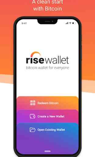 Rise Wallet 1