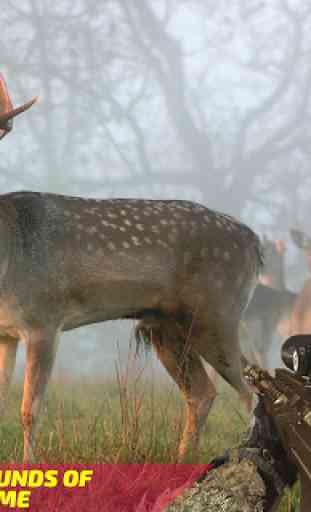 Wild Deer Hunt 2019 - Animal Simulator 1