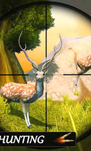 Wild Deer Hunting  2020 Game 2