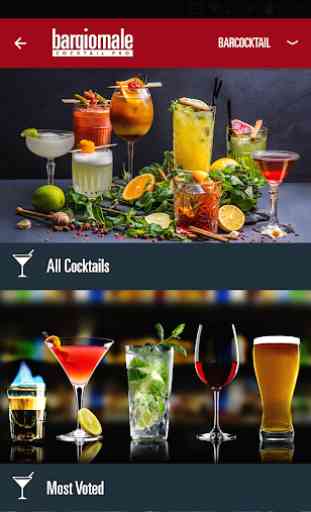 Bargiornale Cocktail Pro 3