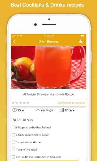 Drinks Recipes - Fruit Juice 4