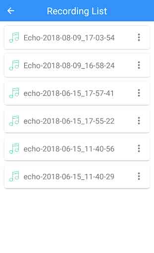 Echo voice recorder 2