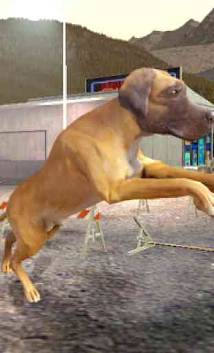 Great Dane Dog Simulator 1