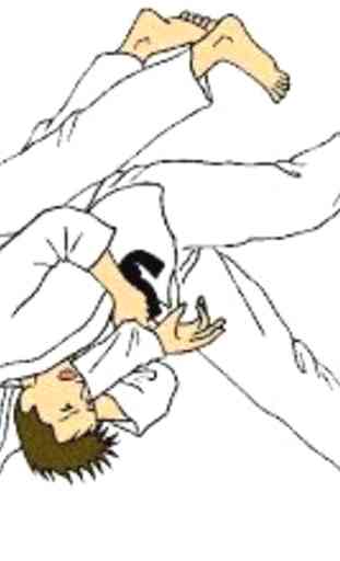 Impara le tecniche di Judo 2