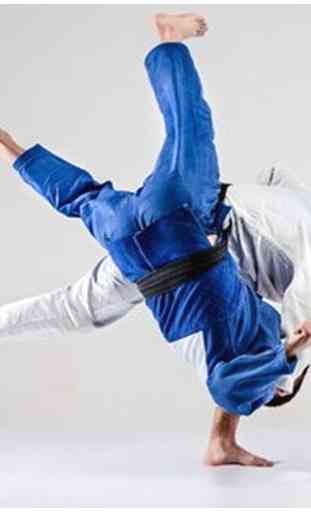 Impara le tecniche di Judo 4