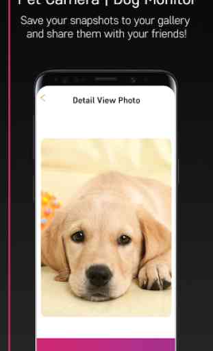 PetCam App - Dog Camera App 4