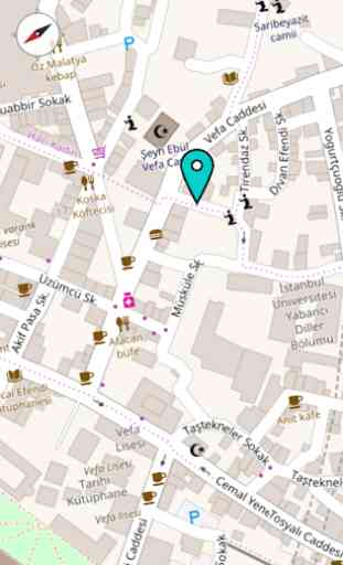 Posizione Online Mappa GPS 2