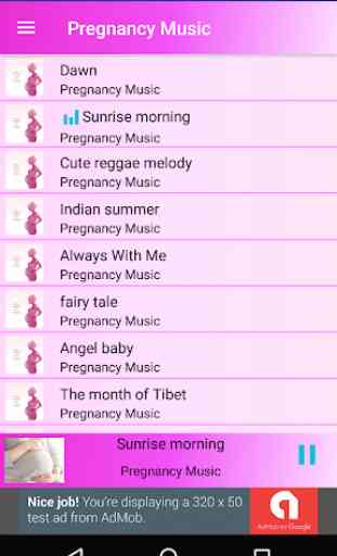 Pregnancy Music Collection 200 2