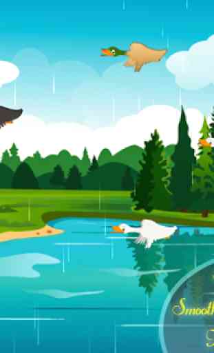 Real caccia anatra cacci Uccello caccia gioco 2017 3