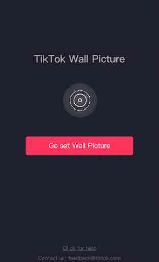 TikTok Wall Picture 2
