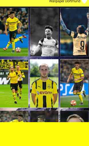 Wallpaper Dortmund - Dortmund 1