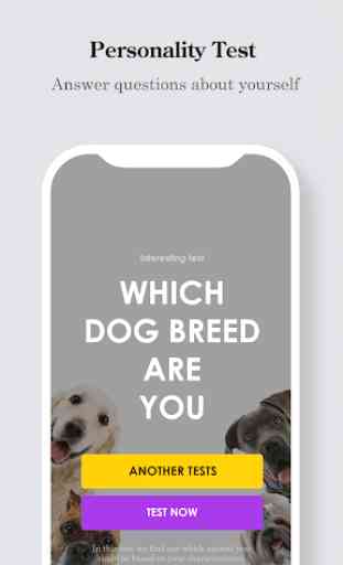 Which Dog Breed Are You? 4