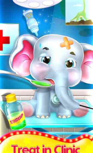 Baby Elephant - Circo Flying & Dancing Star! 4