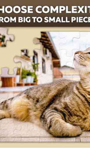 Cats jigsaw puzzles 1