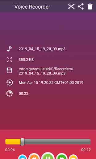 Clean Voice Recorder Pro 2019 3
