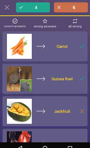 English Vocabulary by Pictures 4
