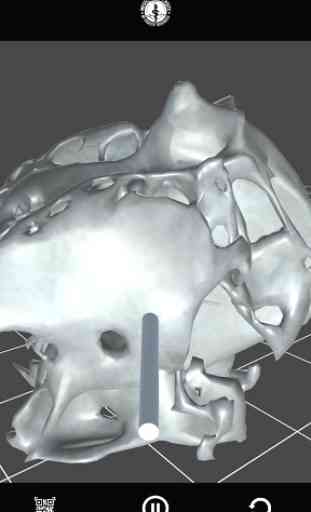 EOC Cranium 3